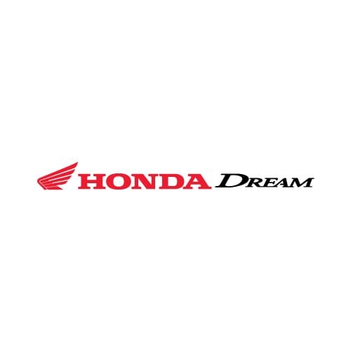 Vyvo-Ballet-Hondra-Dream